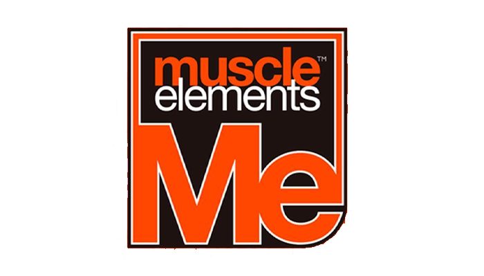 Muscle Elements